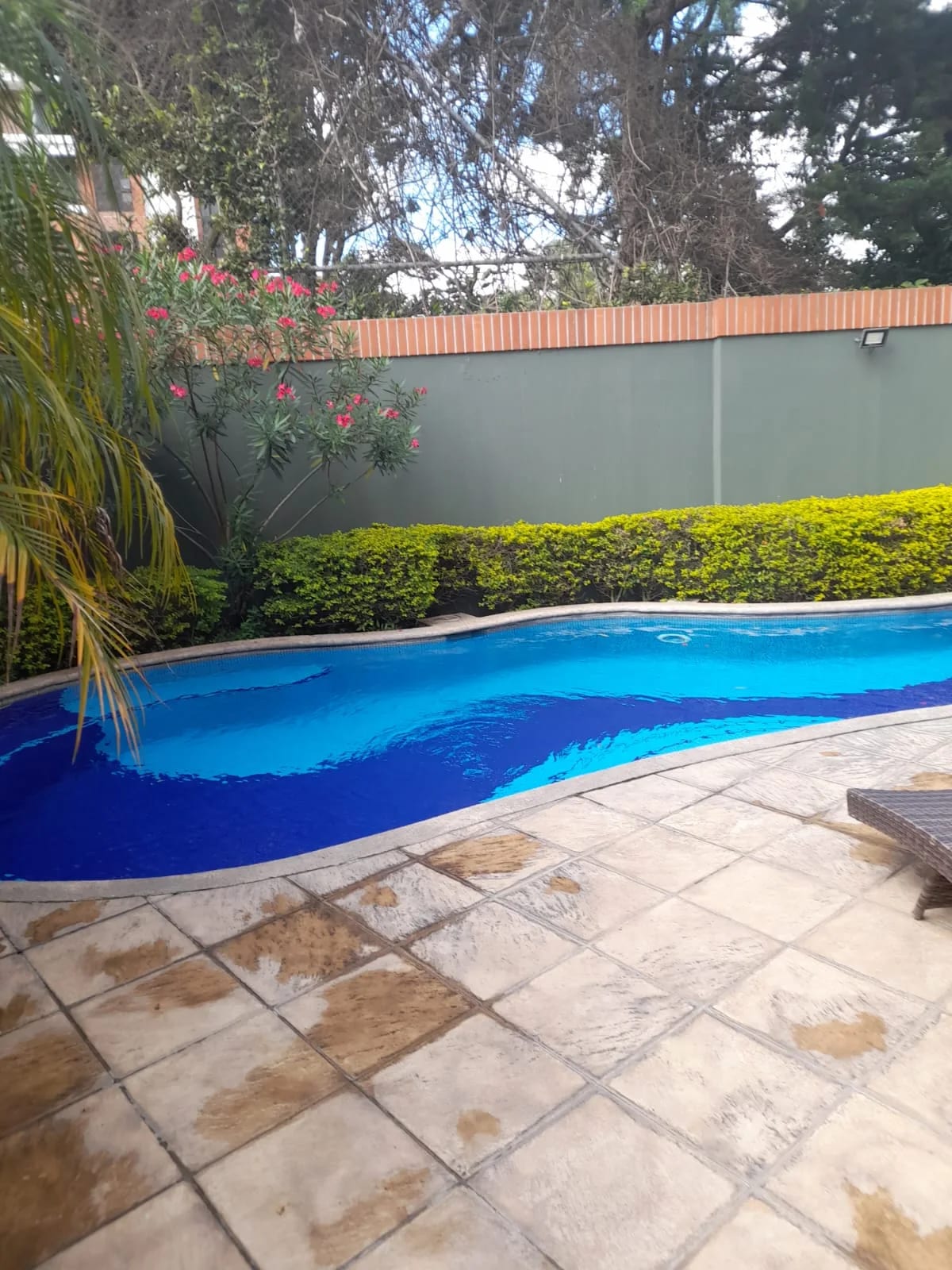 Akoya zona 14 renta 2 habitaciones — foto 11 de 15