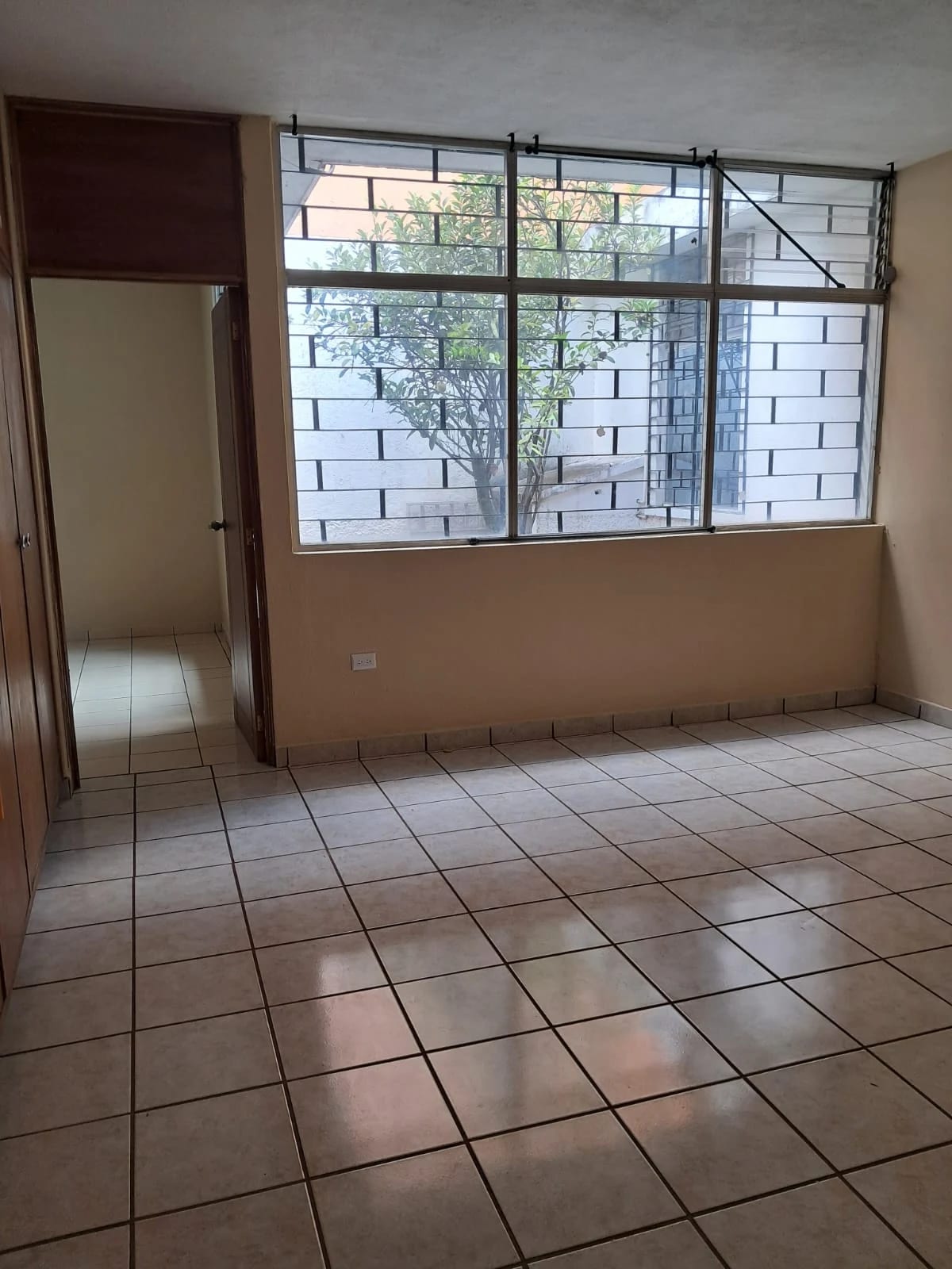 Casa en renta zona 10 ideal clínicas, oficinas — foto 7 de 14