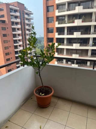 VENTA Y/O RENTA  APTO ZONA 14 2 HABITACIONES — miniatura 7 de 10