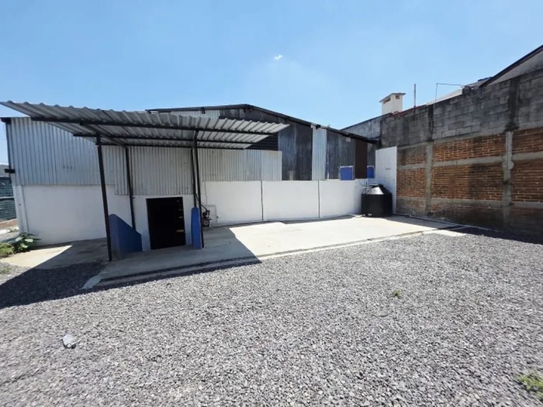 bodega / predio  en Mariscal zona 11 para iniciar el 1 de marzo — foto 4 de 10